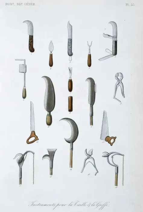 Framed Print : Instruments for measuring size Framed Print : Instruments for measuring size