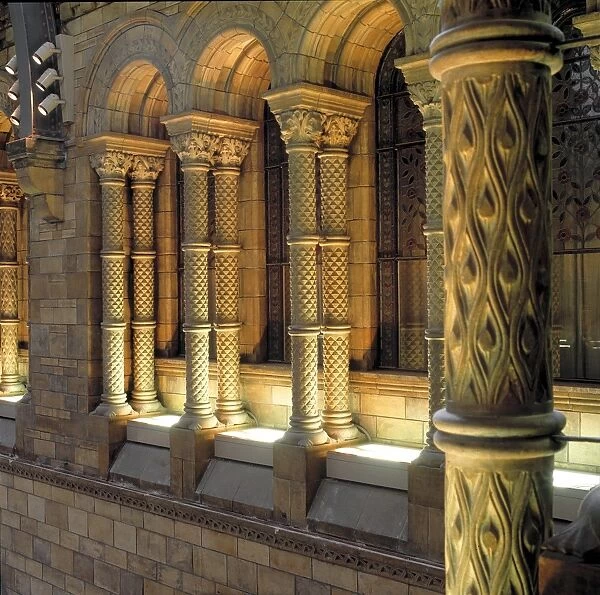 Detail of interior columns, the Natural History Museum, Lond