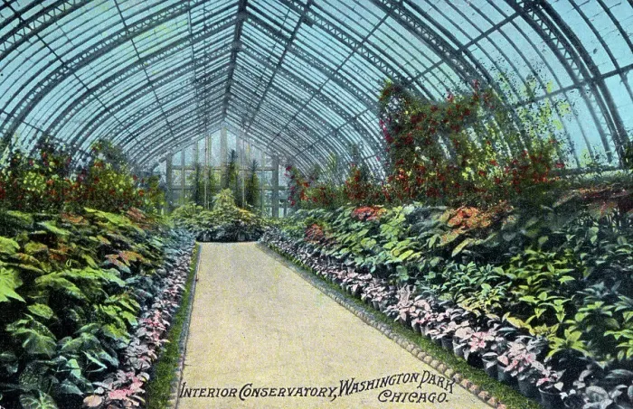Framed Print : Interior of the Conservatory, Washington Park, Chicago Framed Print : Interior of the Conservatory, Washington Park, Chicago