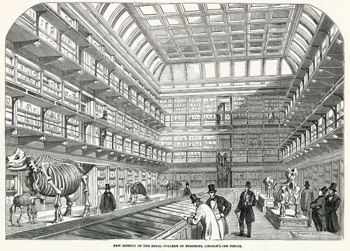 Framed Print : Interior of the new museum, Royal College of Surgeons, located at Lincoln's Inn Fields in London. Date: 1854 Framed Print : Interior of the new museum, Royal College of Surgeons, located at Lincoln's Inn Fields in London. Date: 1854