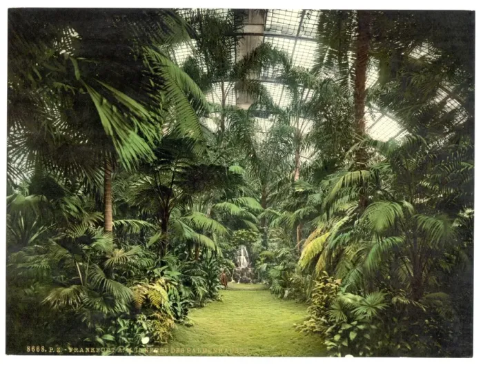 Framed Print : Interior of Palm Houses, Frankfort on Main (i. e. Frankfurt a Framed Print : Interior of Palm Houses, Frankfort on Main (i. e. Frankfurt a