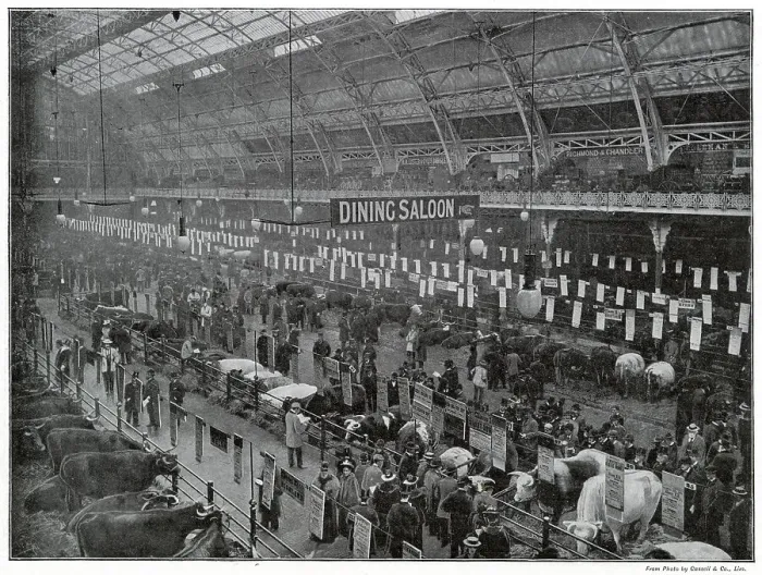 Framed Print : Interior of the Smithfield Club's Annual Show at the Agricultural Hall Islington, London. Photograph showing after the judging was completed and awards won. Date: late 1890s Framed Print : Interior of the Smithfield Club's Annual Show at the Agricultural Hall Islington, London. Photograph showing after the judging was completed and awards won. Date: late 1890s