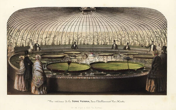 The interior of the Victoria Hothouse in