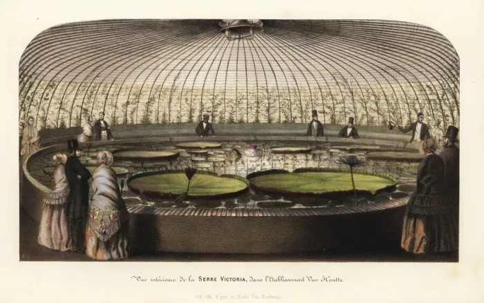 Framed Print : The interior of the Victoria Hothouse in Framed Print : The interior of the Victoria Hothouse in