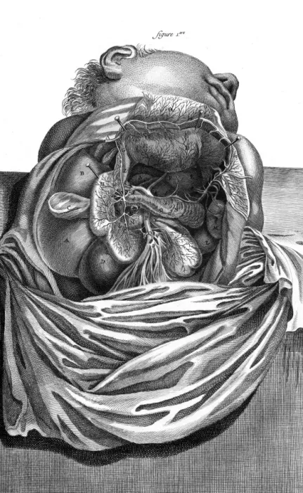 Framed Print : Internal Organs 18th C Framed Print : Internal Organs 18th C