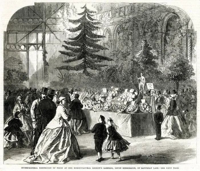 Framed Print : International Exhibition, Horticultural Society Gardens 1865 Framed Print : International Exhibition, Horticultural Society Gardens 1865
