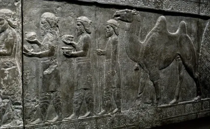 Framed Print : Iran. Persepolis. Palace of Darius I. Relief of the Apadana Framed Print : Iran. Persepolis. Palace of Darius I. Relief of the Apadana
