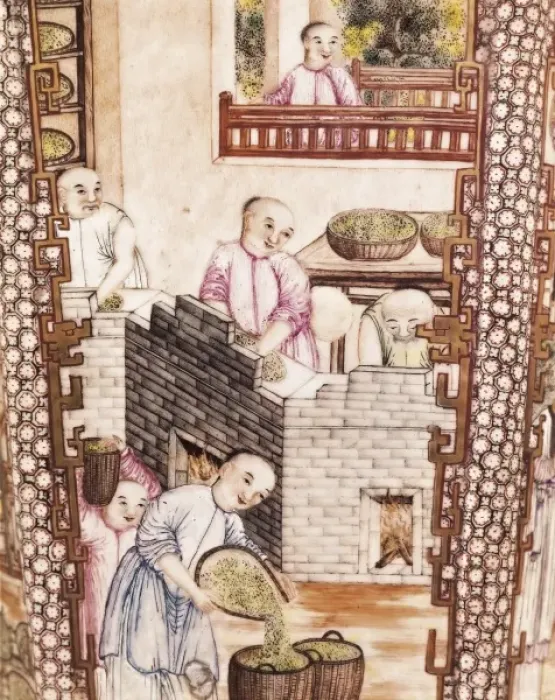 Framed Print : IRAN. Tehran. Golestan Palace. Tea growing. Leaf Framed Print : IRAN. Tehran. Golestan Palace. Tea growing. Leaf