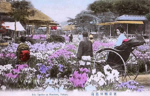 Iris Garden, Horikiri, Tokyo, Japan
