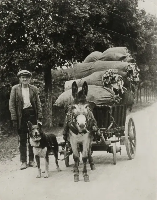 Framed Print : In the Irish countryside, a farmer walks along with his donkey cart, with dog attached, on a rural road. Date: circa 1930 Framed Print : In the Irish countryside, a farmer walks along with his donkey cart, with dog attached, on a rural road. Date: circa 1930