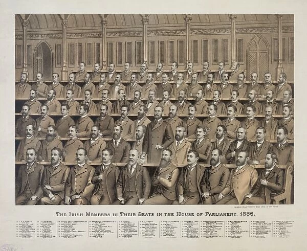 The Irish members in their seats in the House of Parliament