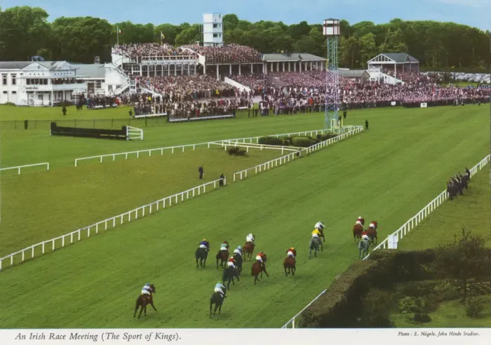 Framed Print : An Irish Race Meeting ?The Sport of Kings?. Ireland Framed Print : An Irish Race Meeting ?The Sport of Kings?. Ireland