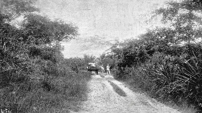 Framed Print : Island of Cuba, Santiago de Cuba. Morro road Framed Print : Island of Cuba, Santiago de Cuba. Morro road