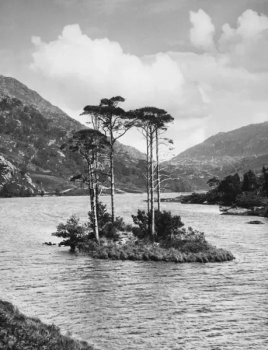 Framed Print : Island on Loch Eilt Framed Print : Island on Loch Eilt