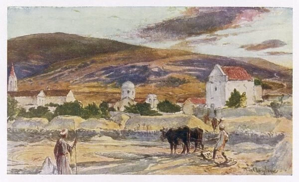 Israel  /  Cana  /  Galilee 1912