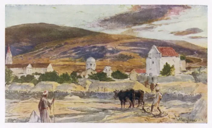 Framed Print : Israel / Cana / Galilee 1912 Framed Print : Israel / Cana / Galilee 1912
