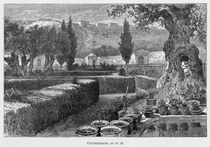 Framed Print : Israel Jerusalem Framed Print : Israel Jerusalem
