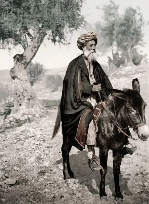 Framed Print : Israel Palestine - Arab merchant on a donkey Framed Print : Israel Palestine - Arab merchant on a donkey