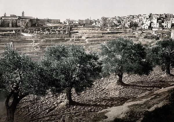 Israel Palestine photochrome - town of Bethlehem