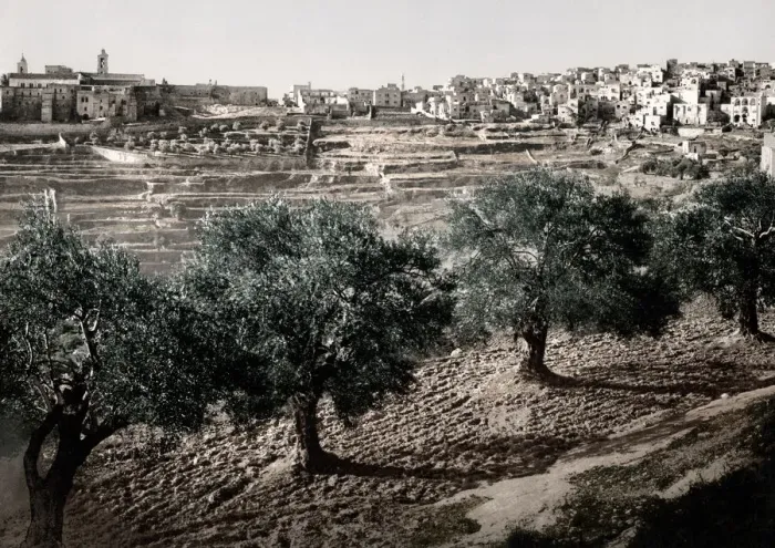 Framed Print : Israel Palestine photochrome - town of Bethlehem Framed Print : Israel Palestine photochrome - town of Bethlehem