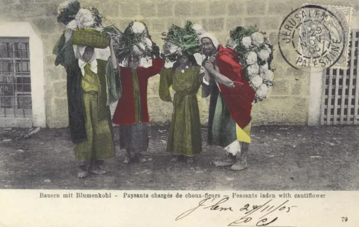 Framed Print : Israel - Peasants laden with cauliflowers Framed Print : Israel - Peasants laden with cauliflowers