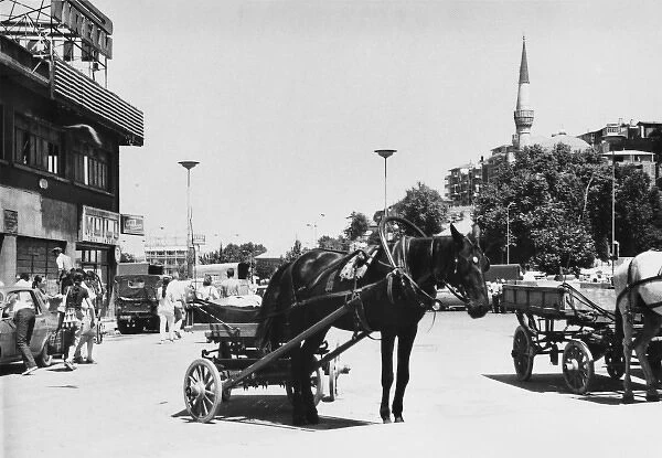Istanbul, Turkey - Horse-drawn cart
