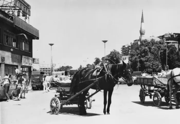 Framed Print : Istanbul, Turkey - Horse-drawn cart Framed Print : Istanbul, Turkey - Horse-drawn cart