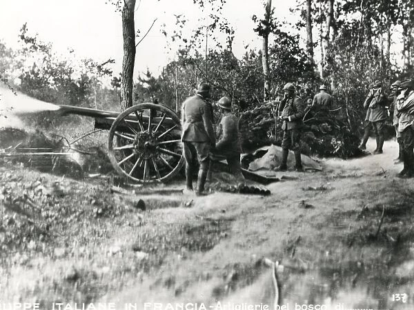 Italian gunners in a wood near Rheims, France, WW1