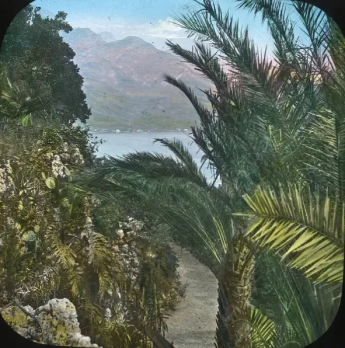 Framed Print : Italian Lakes - Tropical plants Framed Print : Italian Lakes - Tropical plants