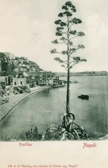 Framed Print : Italy - Naples - Posillipo Framed Print : Italy - Naples - Posillipo