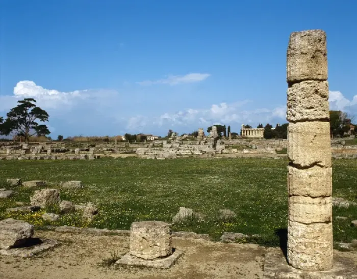 Framed Print : Italy. Paestum. Roman Forum. Ruins. Campania. Southern Italy Framed Print : Italy. Paestum. Roman Forum. Ruins. Campania. Southern Italy