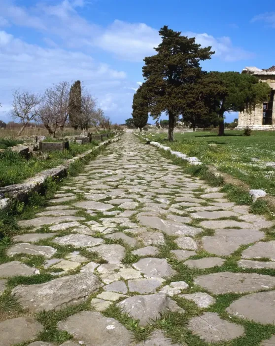 Framed Print : Italy. Paestum. Sacred Way Framed Print : Italy. Paestum. Sacred Way
