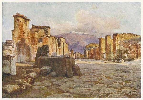 Italy  /  Pompeii