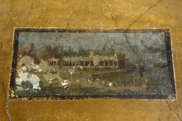ITALY. Pompeii. Frescoes in the House of Venus in