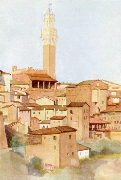 Italy  /  Siena Mangia Tower