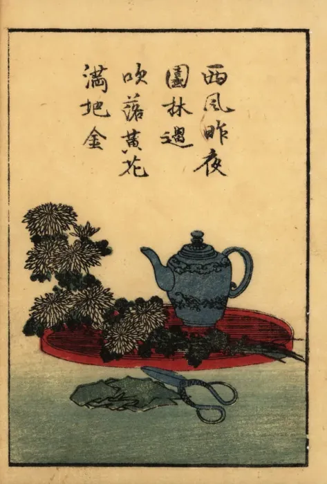 Framed Print : Items for Japanese flower arrangement, ikebana Framed Print : Items for Japanese flower arrangement, ikebana
