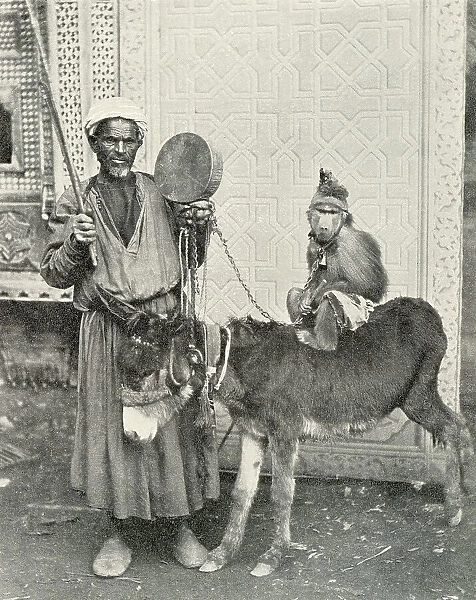 Itinerant musician with monkey and donkey, Cairo, Egypt