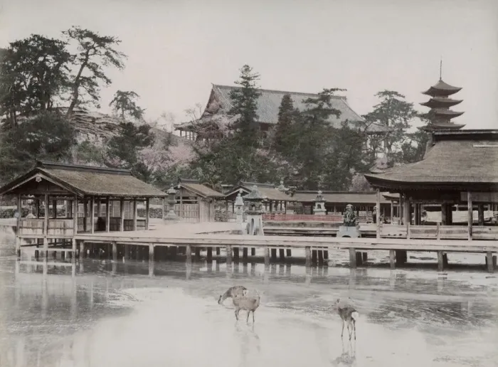 Framed Print : Itsukushima Shrine, miyajima Aki, Japan Framed Print : Itsukushima Shrine, miyajima Aki, Japan