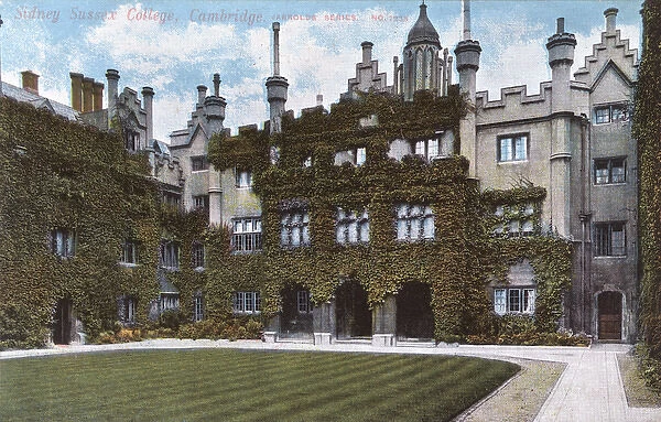 The ivy-clad walls of Sidney Sussex College, Cambridge