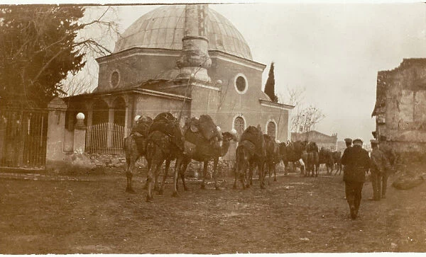 Izmir, Turkey - Camel Train passes Mosque