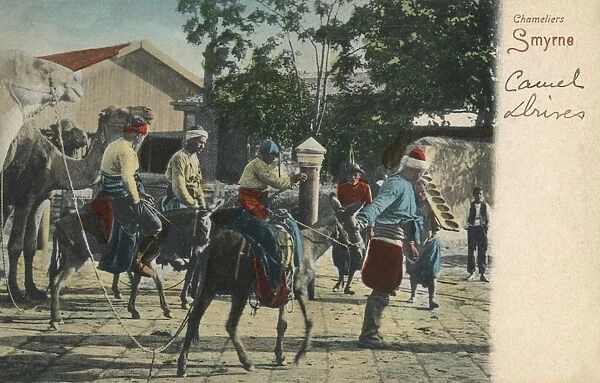 Izmir, Turkey - Donkeys leading a Camel train