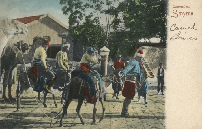 Framed Print : Izmir, Turkey - Donkeys leading a Camel train Framed Print : Izmir, Turkey - Donkeys leading a Camel train