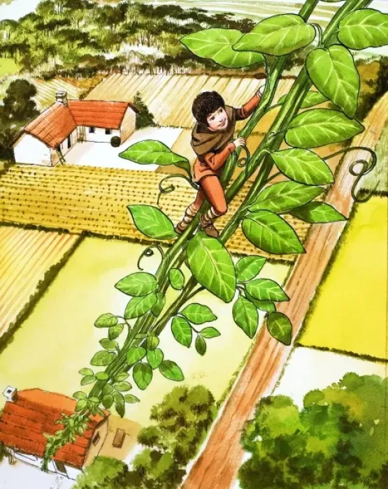 Framed Print : Jack and the Beanstalk Framed Print : Jack and the Beanstalk