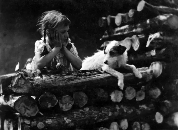 Framed Print : Jack Russell / Girl 1930S Framed Print : Jack Russell / Girl 1930S