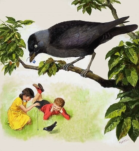 Jackdaw. Jackdaw shows a boy and girl teasing one bird with a silver bead