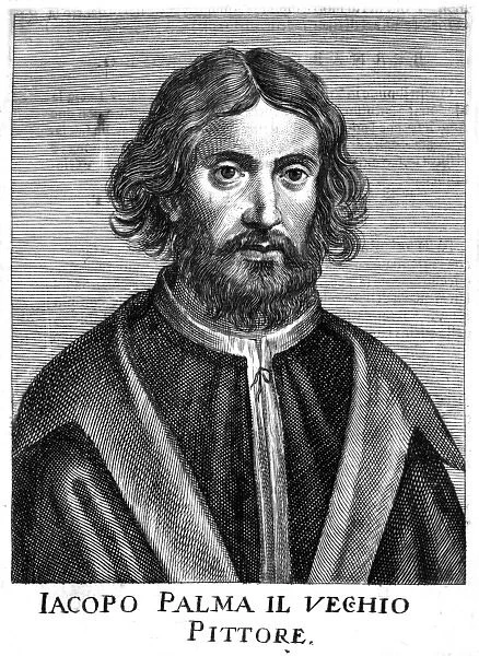 Jacopo Palma Vecchio