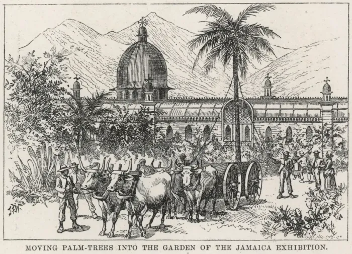 Framed Print : The Jamaica Exhibition