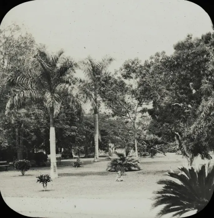 Framed Print : Jamaica - Kings House Grounds, Kingston Framed Print : Jamaica - Kings House Grounds, Kingston