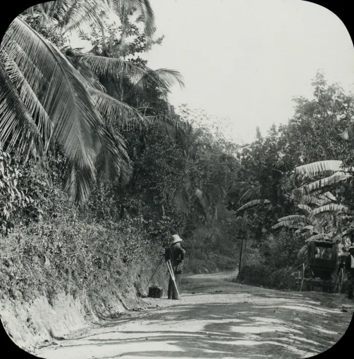 Framed Print : Jamaica - On the Road to Mandeville Porous Framed Print : Jamaica - On the Road to Mandeville Porous