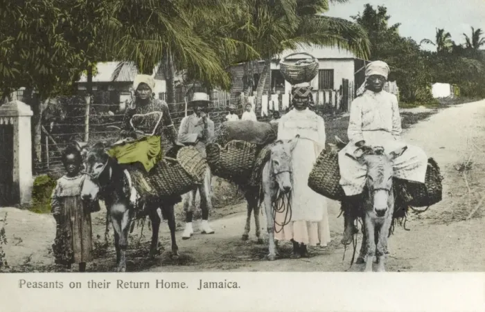Framed Print : Jamaican villagers returning home from market Framed Print : Jamaican villagers returning home from market